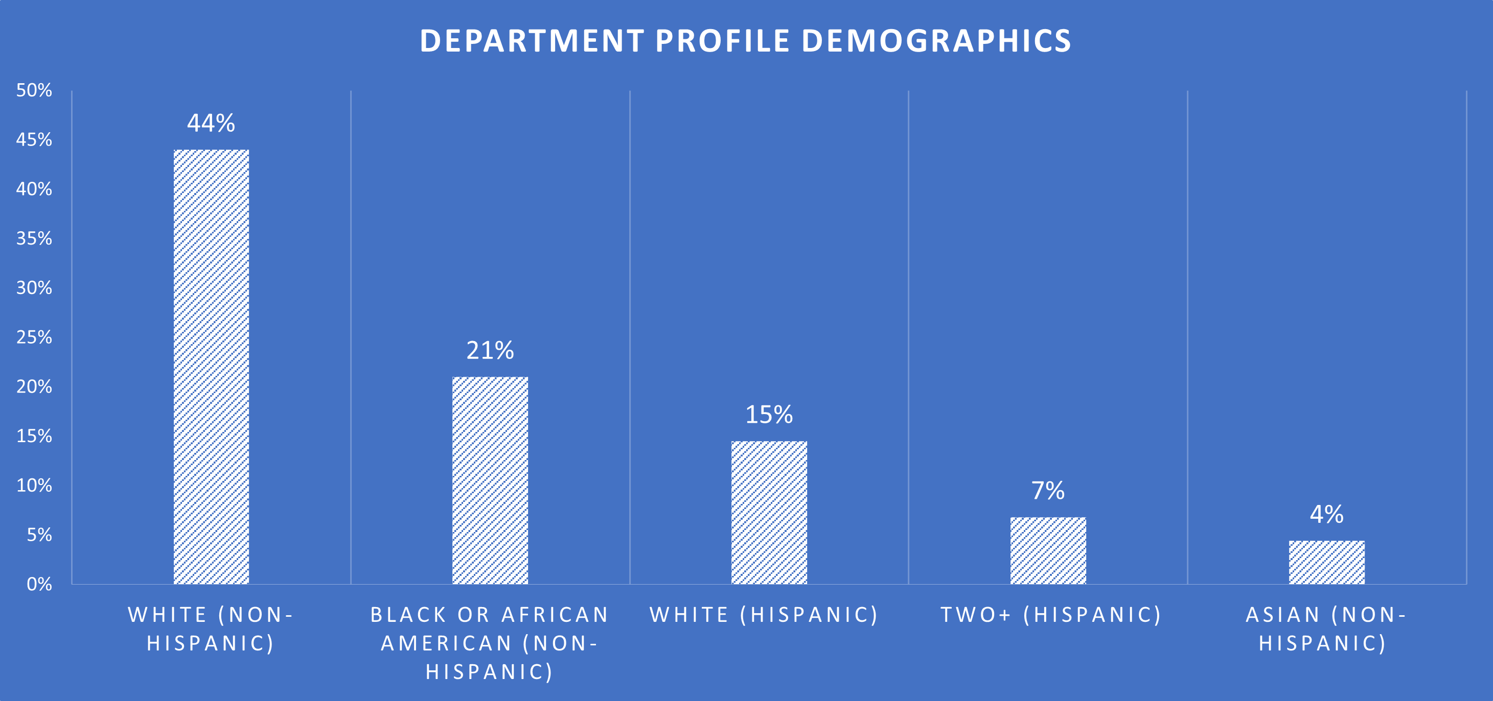 Tampa Police Department Demographics
